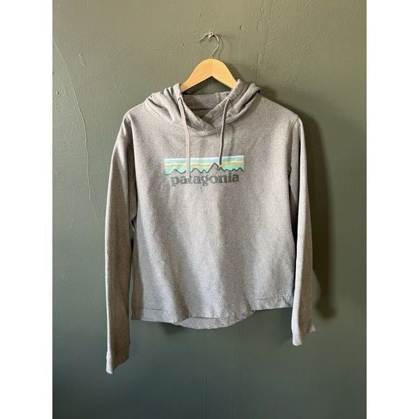 Patagonia Womens Gray Pullover Hooded Sweatshirt Size Large Regular Fit