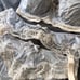 Fauve Bronte set in silver 32G