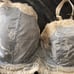 Fauve Bronte set in silver 32G