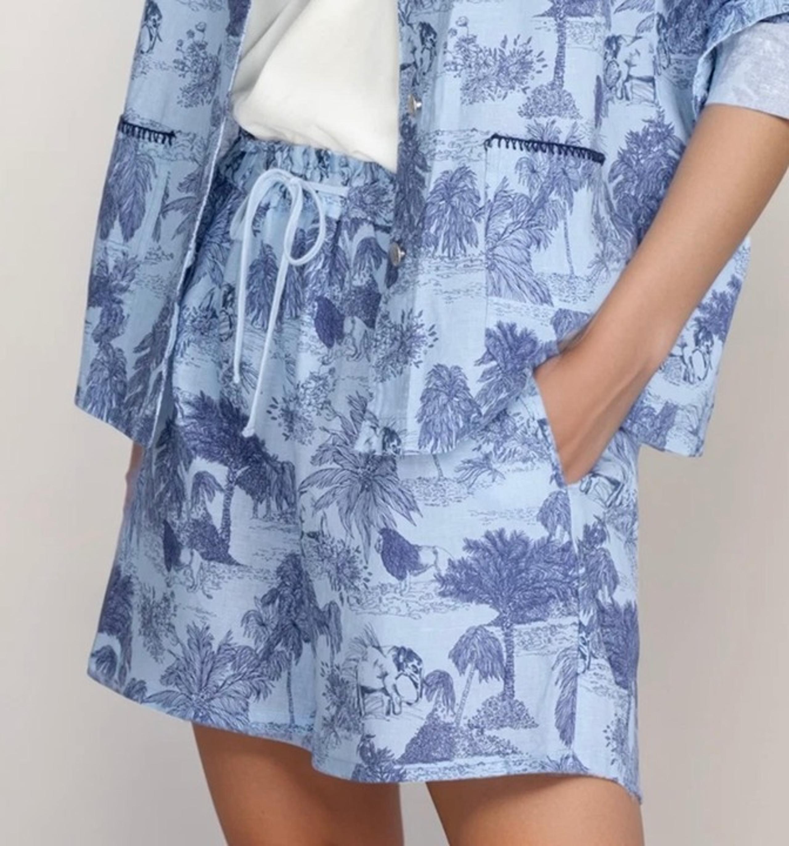Johnny Was Workshop Amichi Blue linen shorts with Tropical Print large runs big