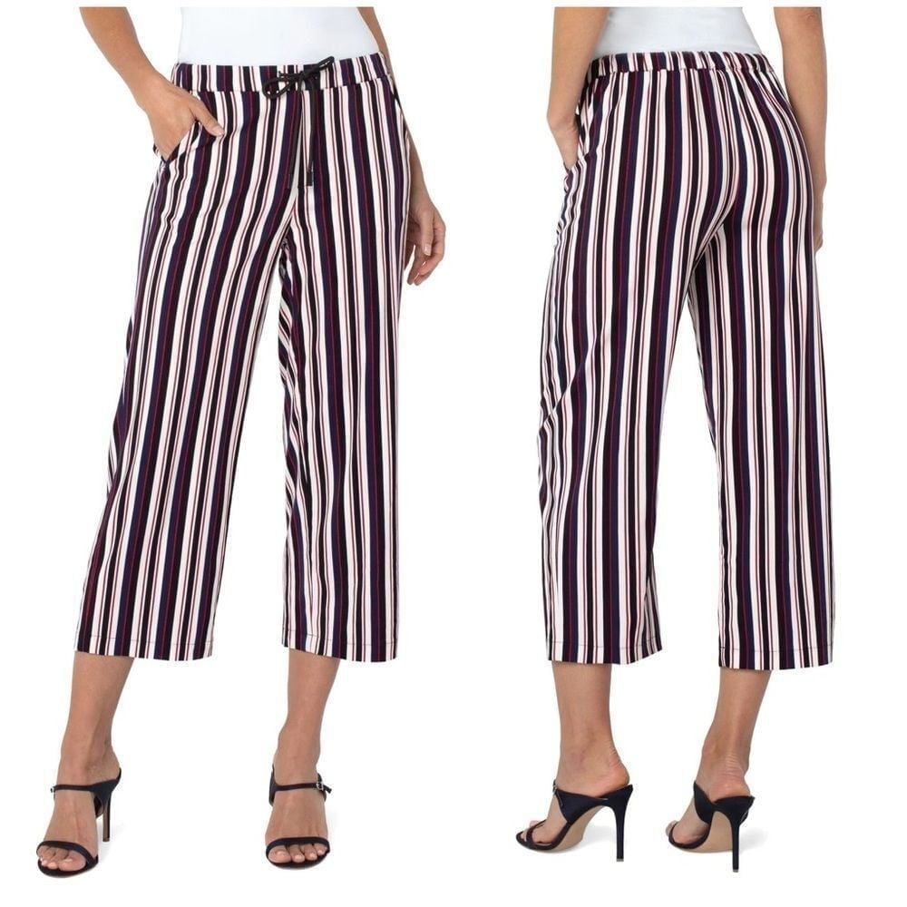 NWT Stitch Fix Liverpool Audrey Pull On Wide Leg Crop Trouser Stripe Size Medium