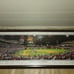 Sports memorabilia Philadelphia Phillies world series poster with signatures