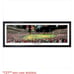 Sports memorabilia Philadelphia Phillies world series poster with signatures