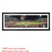 Sports memorabilia Philadelphia Phillies world series poster with signatures