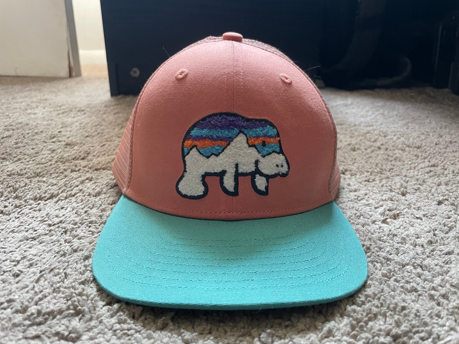 Patagonia Manatee hat