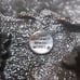 Tent Outdoor Camping Muti-Color Buckle Bergamot 1980 O-96 Great Vintage Shape