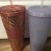 Starbucks Tumblers set of 2 24oz