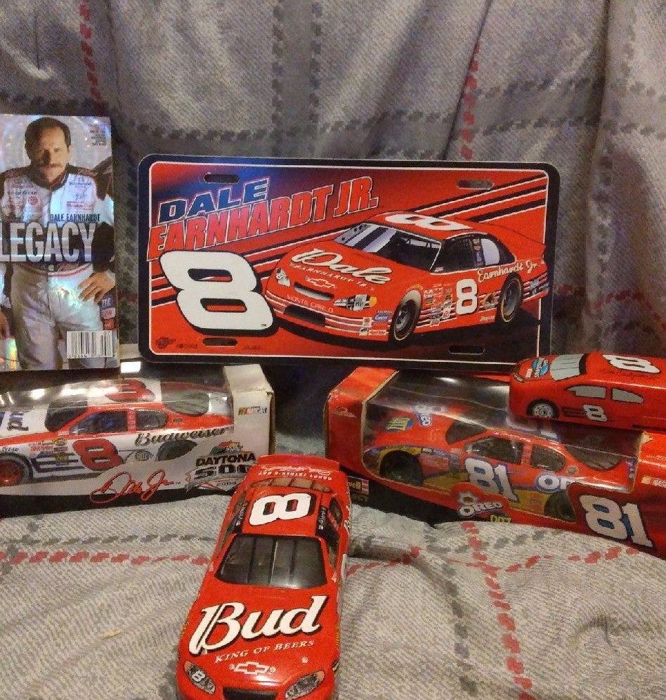 Dale Earnhardt Jr and Sr Bundle