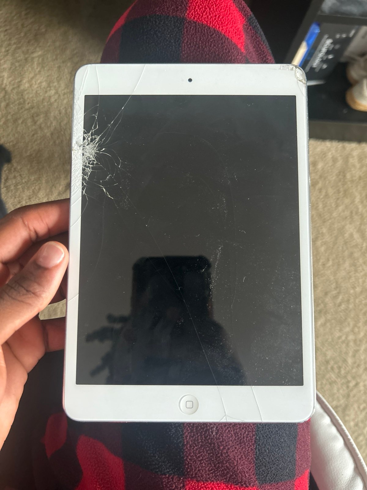 iPad mini 1st generation