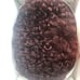 Brand New Lacefront Wig