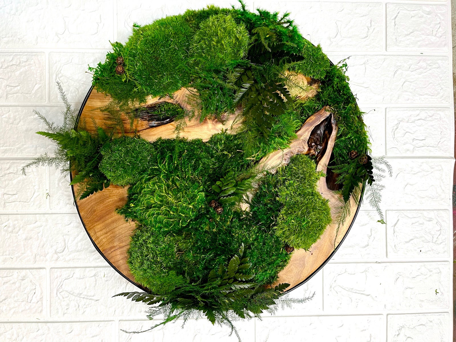 Cedar Wood 16'' Preserved Moss Art Wall decoration Ornaments Hanging Decoration