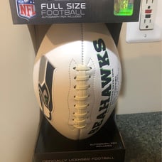 Seattle Seahawks Logos Panel Football