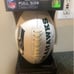 Seattle Seahawks Logos Panel Football
