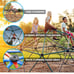 Lifetime 60’ Inch Climbing Dome