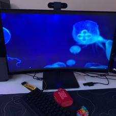 Gaming monitor curved