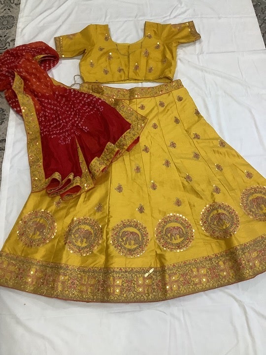 Indian Pakistani lehenga garba chaniya choli saree sari wedding shalwar