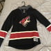 Arizona Coyotes jacket