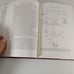 The Development Of The Brain Biological And Functional Perspectives 1980 HCDJ