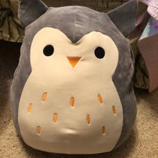 Grey Owl 16 inch Squishmallow