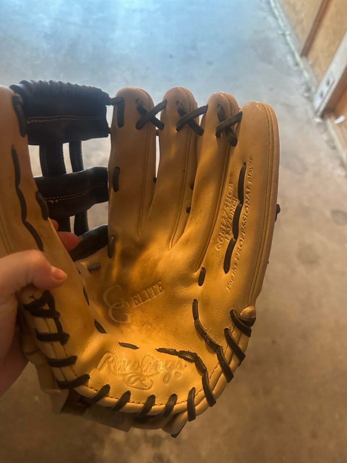 Baseball Glove