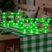8.5In Lucky St Patrick's Day Decorations, Holiday Decor - 5 LED Light
