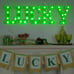 8.5In Lucky St Patrick's Day Decorations, Holiday Decor - 5 LED Light