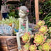 Fannie The Garden Fairy Sitting Statue, 12 Inch, Polyresin, Full