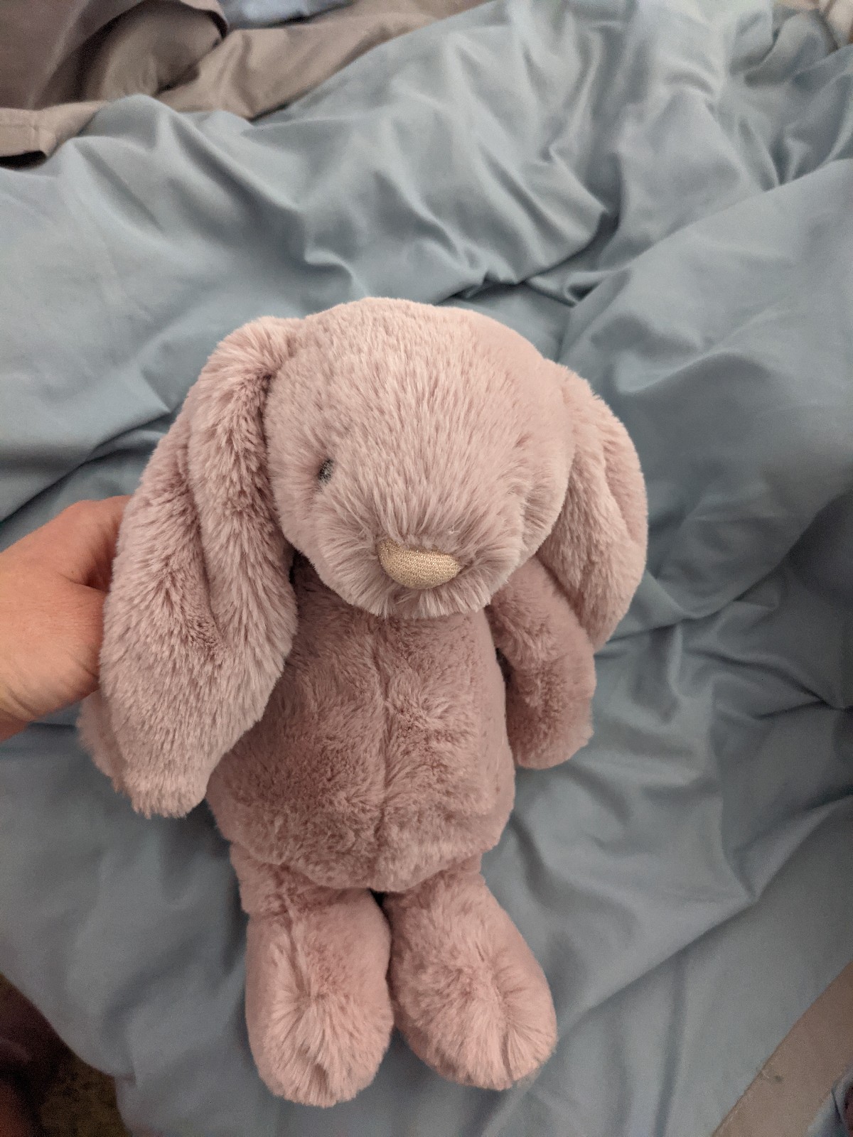 Jellycat Bashful Rosa Bunny Medium BNWT