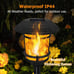 Solar Flame Torch Lights Outdoor, Flickering Flame Garden Light 6 Pack