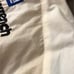 Vintage Dale Earnhardt The Champ Jacket