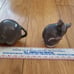 Royal Copenhagen Mouse Figurines, set of 2!