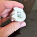 Royal Copenhagen Mouse Figurines, set of 2!