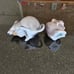 Royal Copenhagen Mouse Figurines, set of 2!