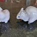 Royal Copenhagen Mouse Figurines, set of 2!