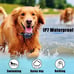GPS Dog Fence with Health Monitors