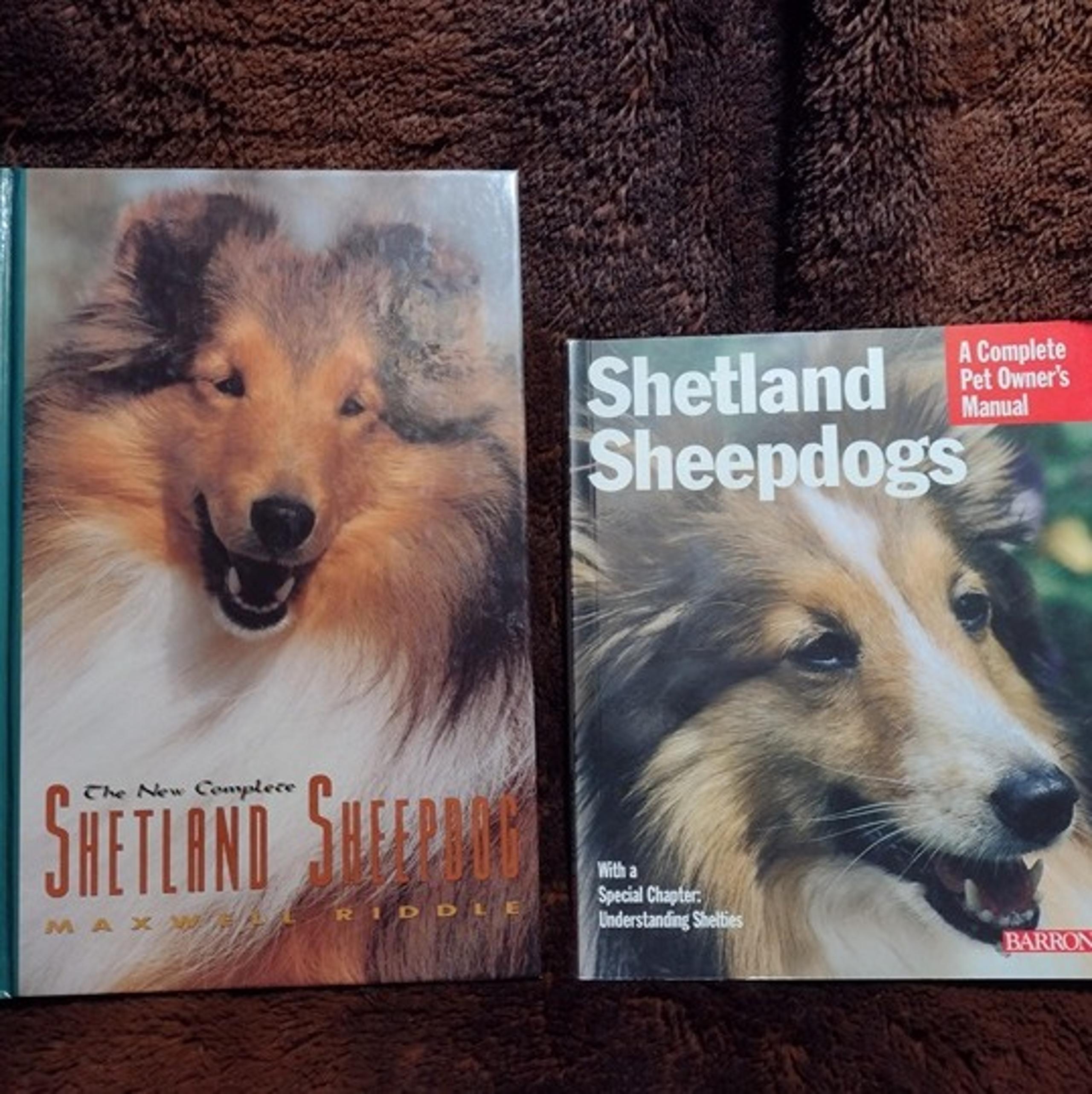 Lot of 2 Shetland Sheepdog Sheltie Selection Care Training Books Riddle Barrons