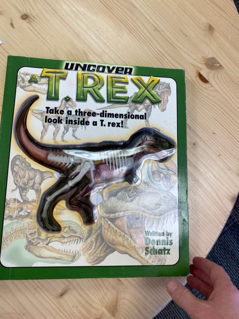 T rex science kit full dissection rubber
