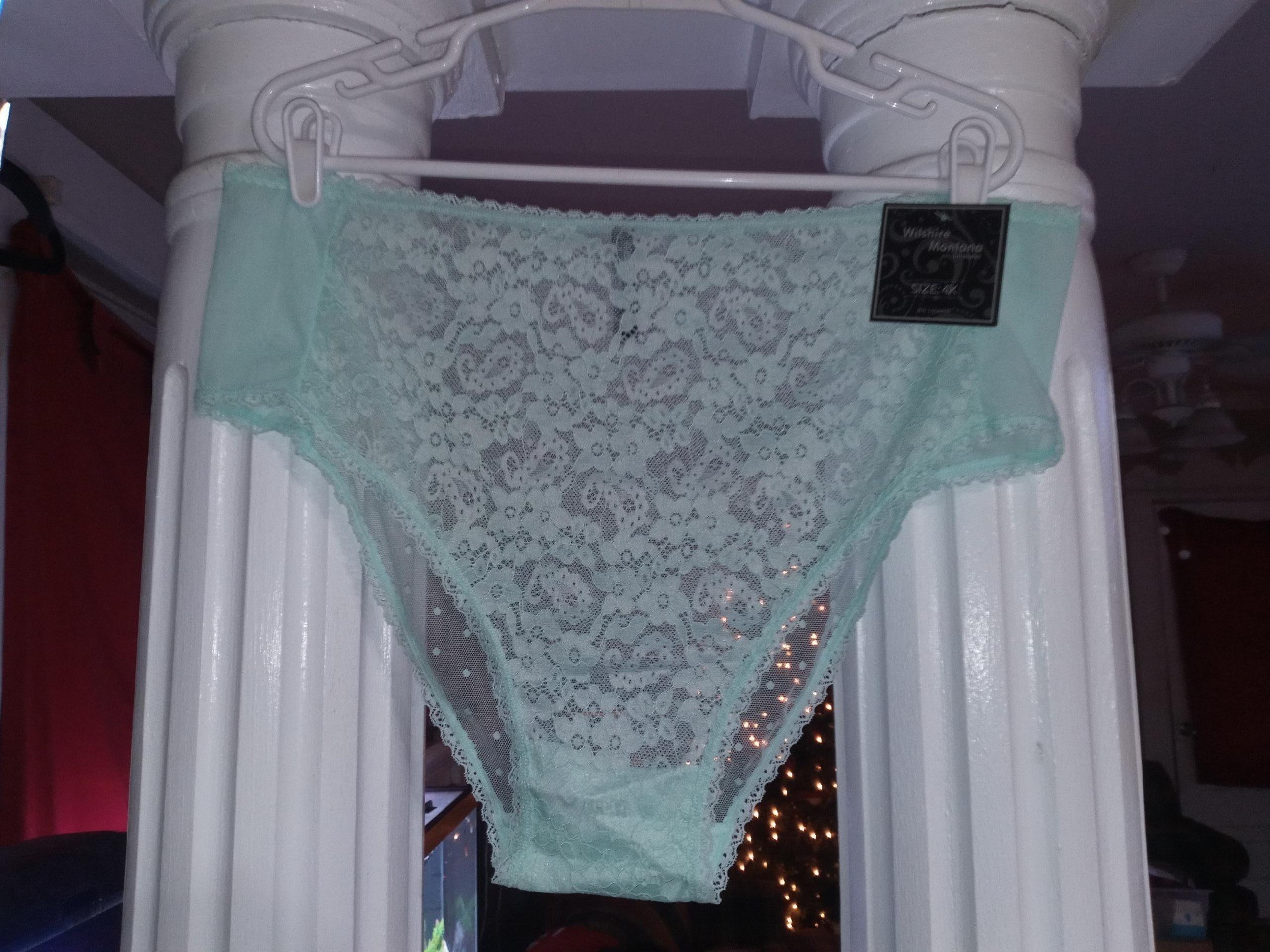 NWT Women's 4X Wilshire & Montana Intimates Sheer Lace Hipster Plus Size Panties