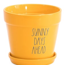 Rae Dunn Planter