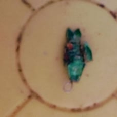 Cloissonne' vintage fish beads