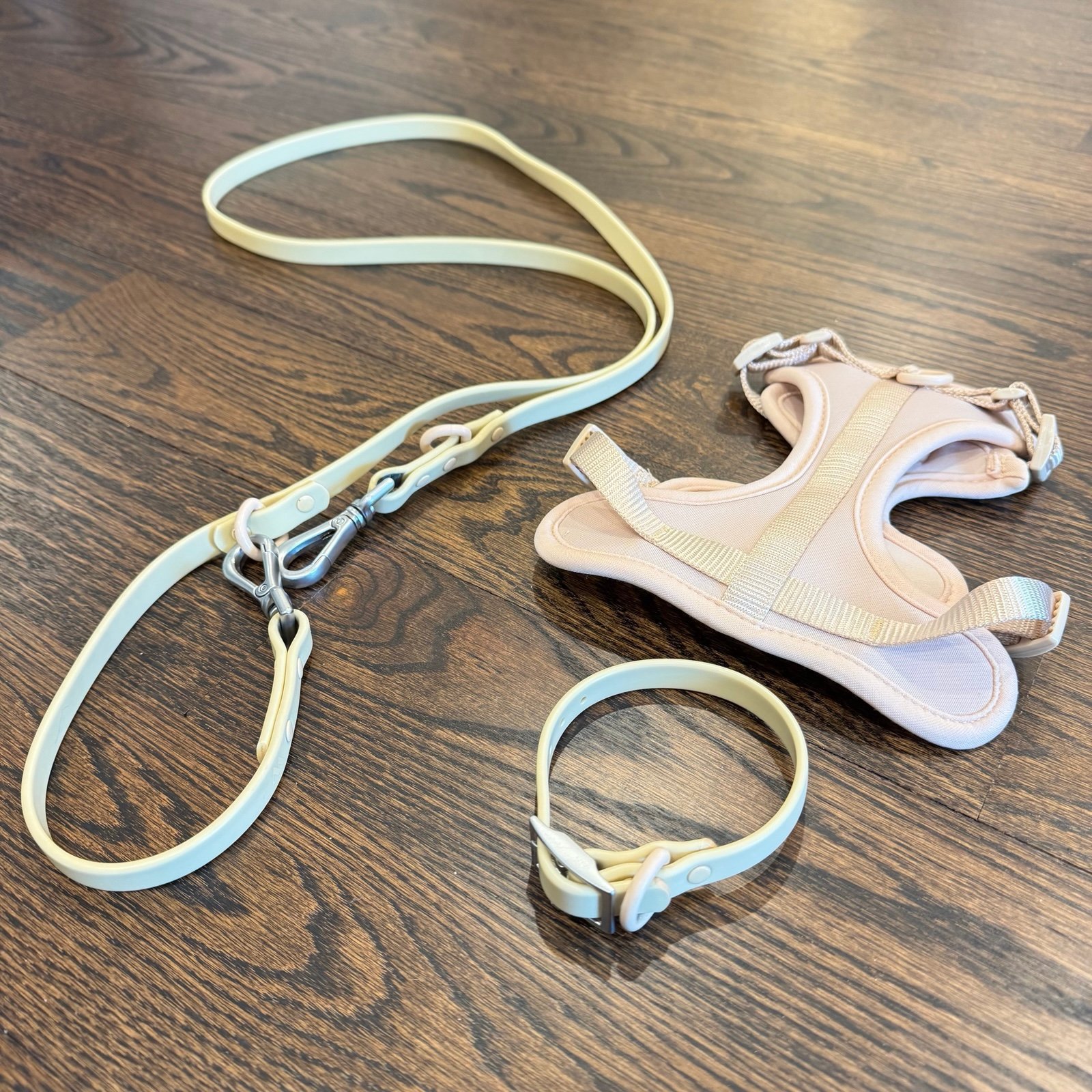Wild One Set - Harness, Leash, Collar
