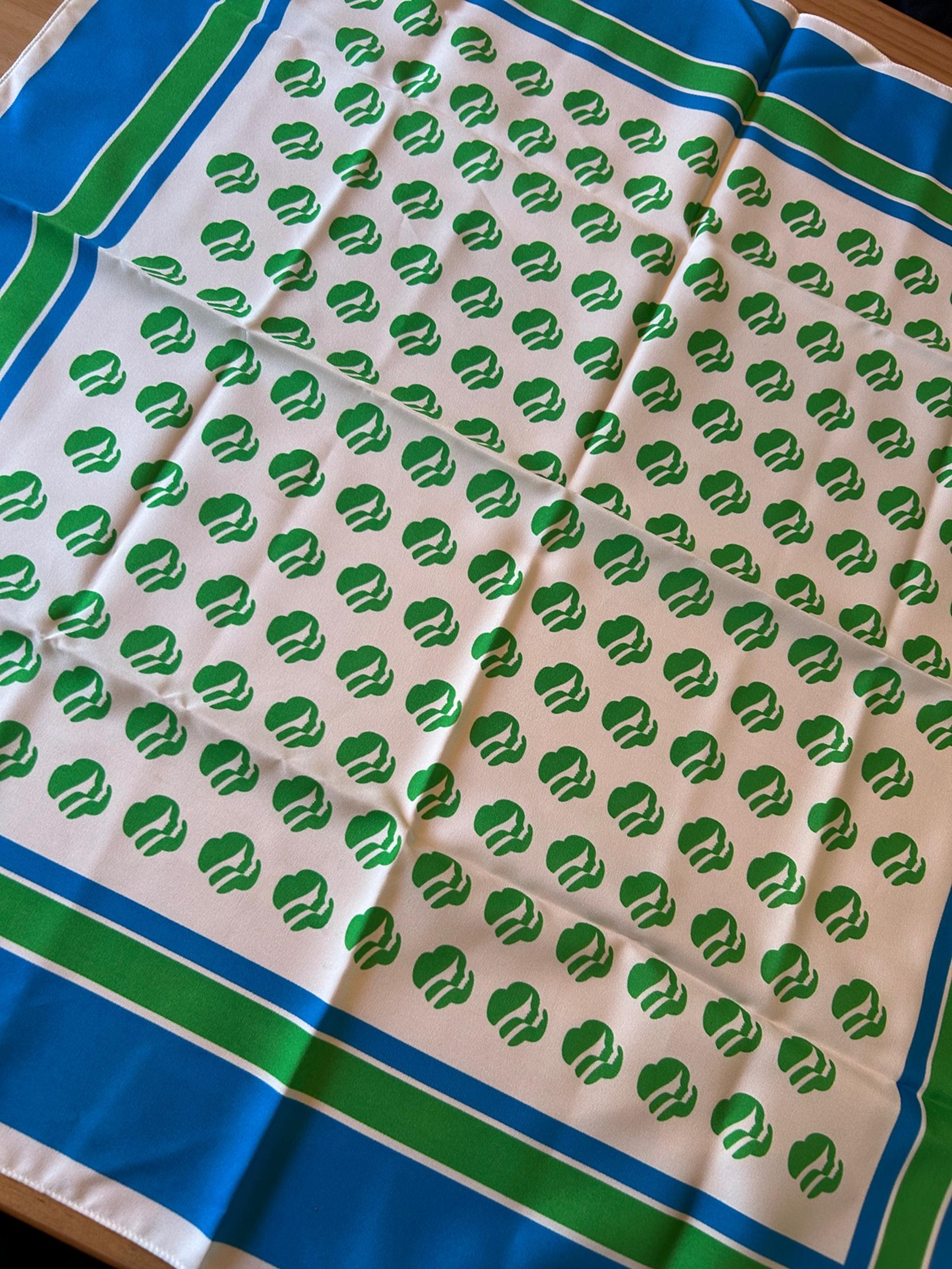 Vintage Girl Scouts Scarf Blue Green White