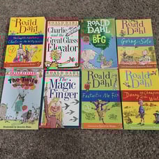 Roald Dahl Book Lot