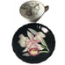 Vintage Grace China Charleston orchid vine China cup and saucer Japan