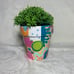 Hand painted Monsters Inc inspired flower pot “Boo”