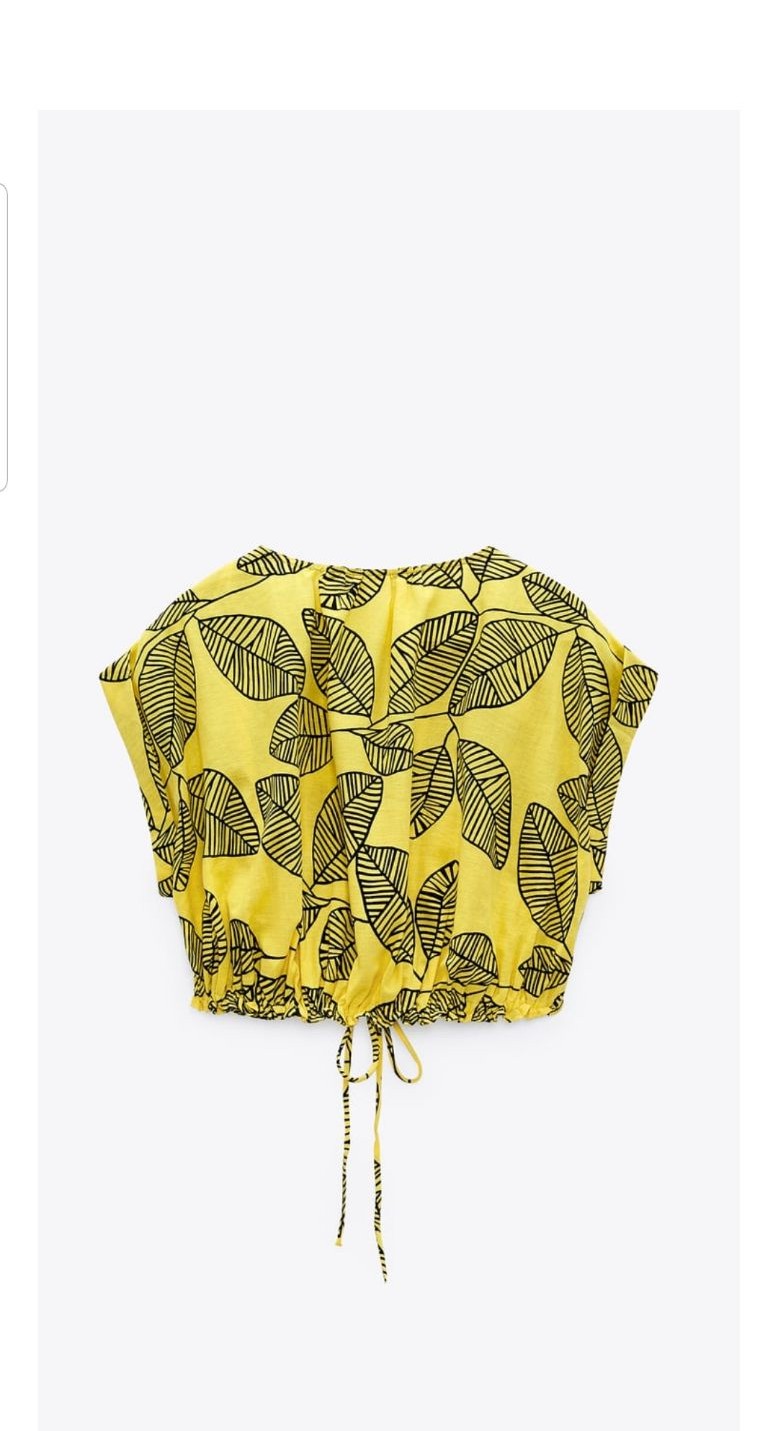 ZARA crop top