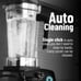 WantJoin Professional Blender, Countertop Blender, Max 1800W