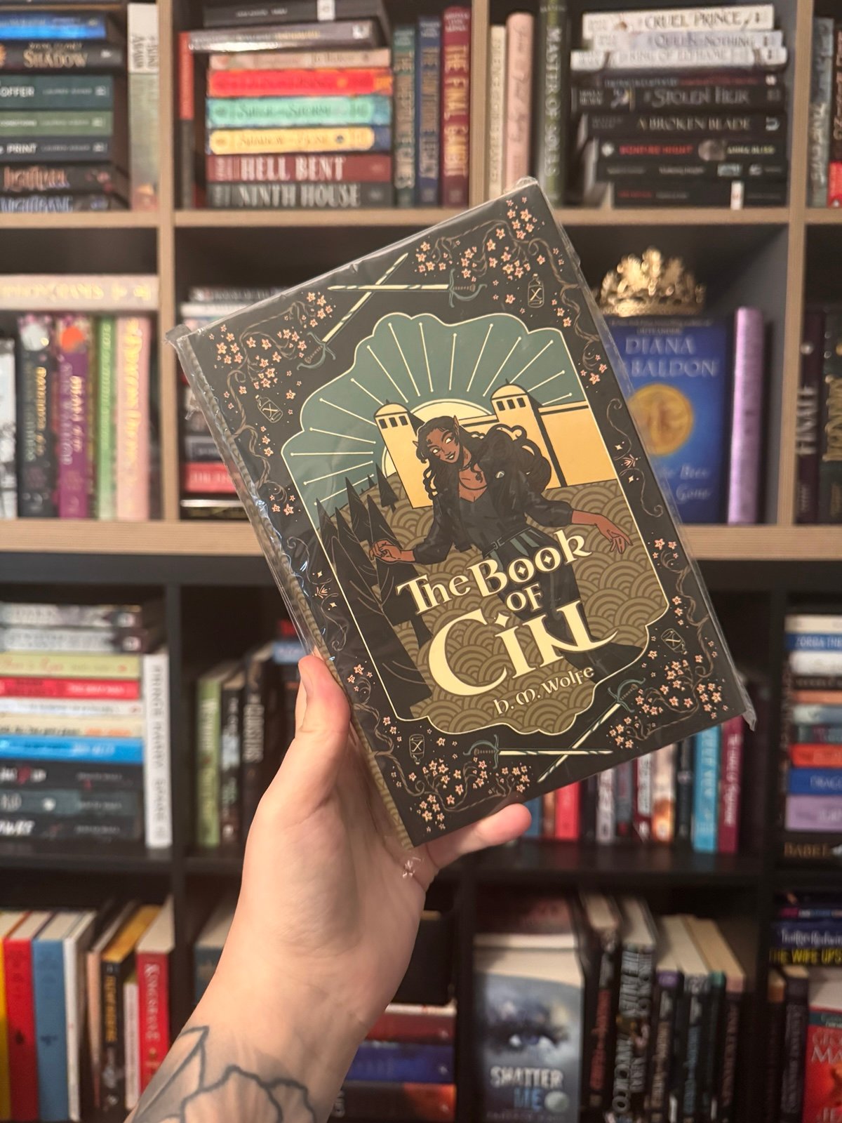 Book of cin Fox and Wit