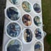 The Franklin Mint Lab Plates