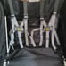 Burley Bee 2 seater bike trailer